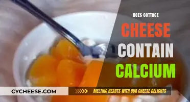Cottage Cheese and Calcium: Unveiling Its Nutritional Benefits and Content