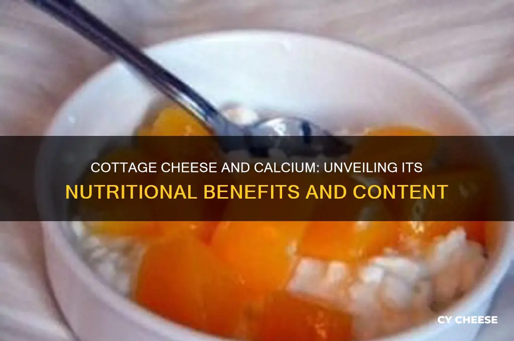 does cottage cheese contain calcium