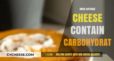 Does Cottage Cheese Contain Carbs? Uncovering the Carbohydrate Truth