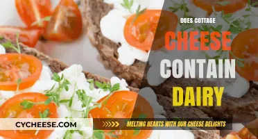 Is Cottage Cheese Dairy-Free? Unraveling the Truth About Its Ingredients