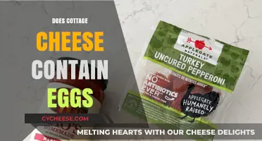 Does Cottage Cheese Contain Eggs? Unraveling the Dairy Mystery