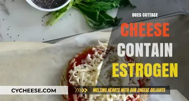 Does Cottage Cheese Contain Estrogen? Unraveling the Hormone Myth