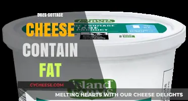 Does Cottage Cheese Contain Fat? Uncovering the Truth About Its Fat Content