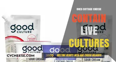 Does Cottage Cheese Contain Live Cultures? Uncovering the Probiotic Truth
