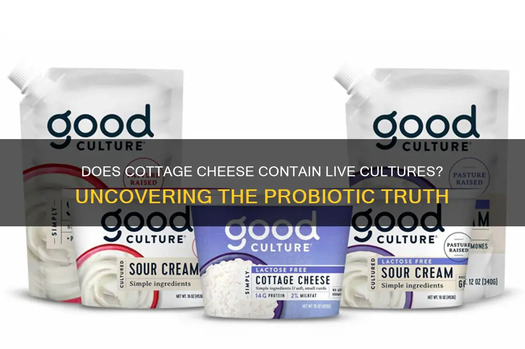 does cottage cheese contain live cultures