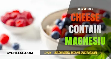 Cottage Cheese and Magnesium: Uncovering Its Nutritional Benefits