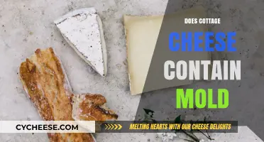 Does Cottage Cheese Contain Mold? Uncovering the Truth About Its Safety
