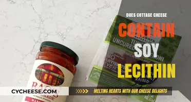 Does Cottage Cheese Contain Soy Lecithin? Uncovering the Ingredients