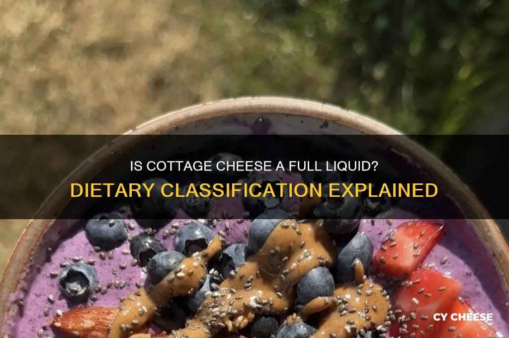 does cottage cheese count as full liquids