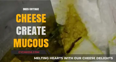 Cottage Cheese and Mucus: Separating Fact from Fiction in Diet Myths