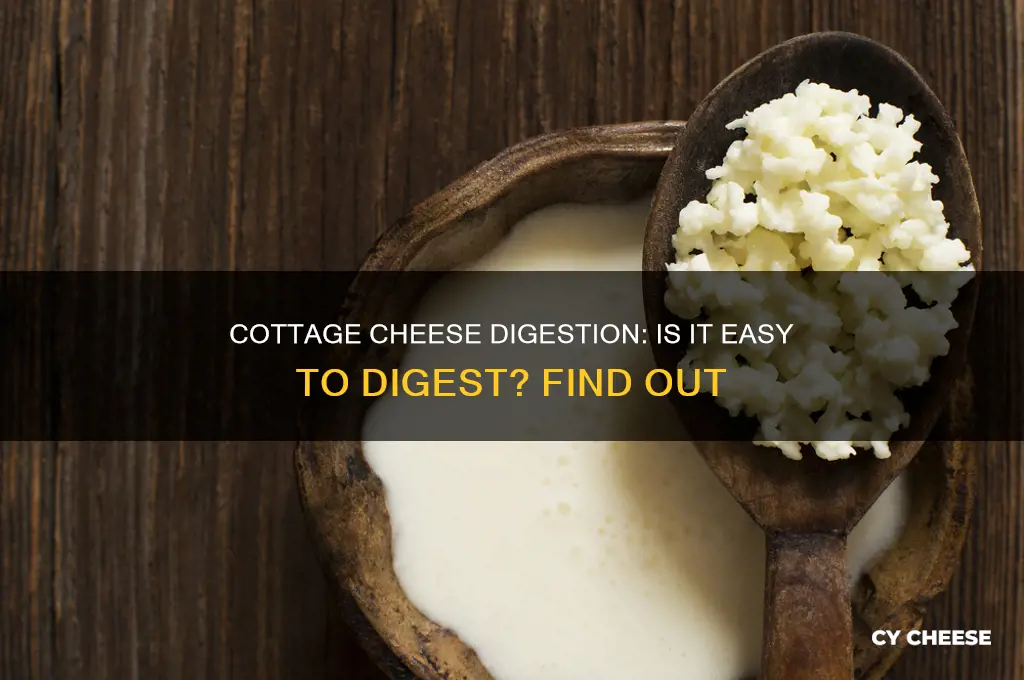 does cottage cheese digest easily