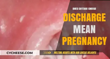 Cottage Cheese Discharge: A Sign of Pregnancy or Normal?