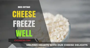Can Cottage Cheese Be Frozen? Tips for Preserving Freshness