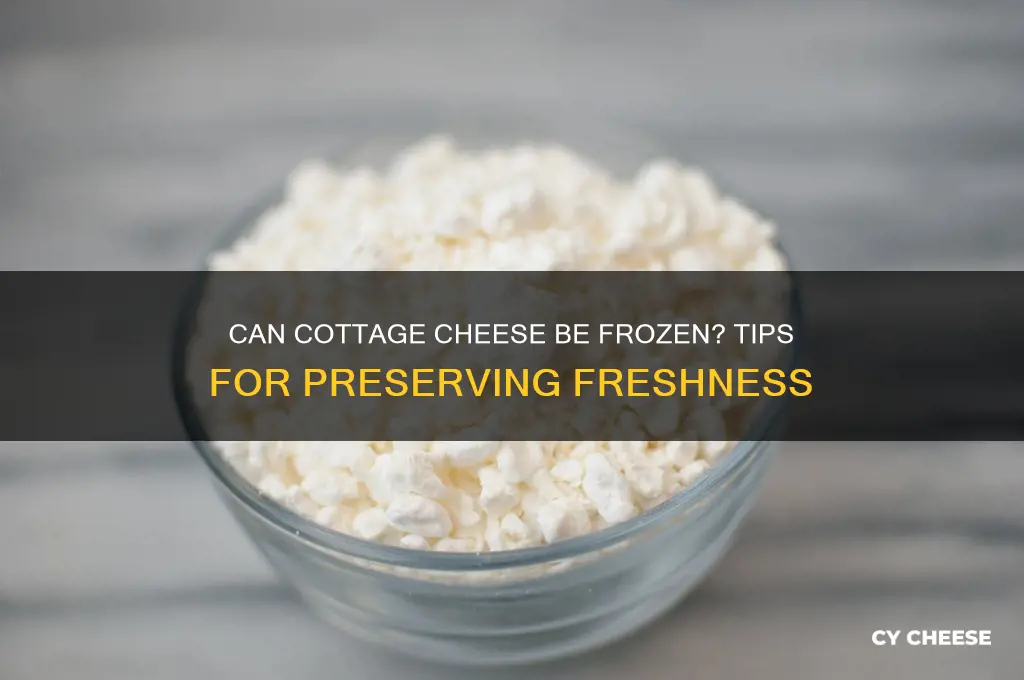does cottage cheese freeze well