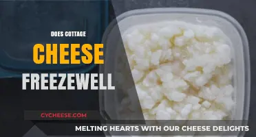 Can Cottage Cheese Be Frozen? Tips for Preserving Freshness