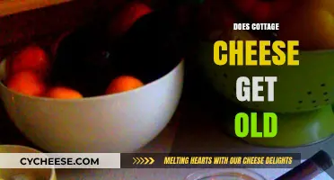 Does Cottage Cheese Expire? Shelf Life and Storage Tips Explained