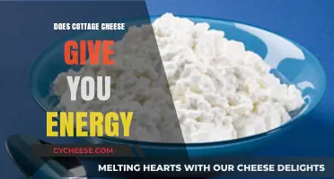 Cottage Cheese Energy Boost: Fueling Your Day with Protein Power