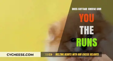 Cottage Cheese and Diarrhea: Unraveling the Digestive Truth