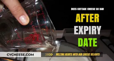 Does Cottage Cheese Go Bad After Expiry Date? Facts Revealed