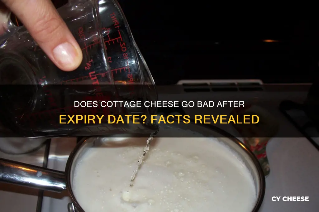 does cottage cheese go bad after expiry date