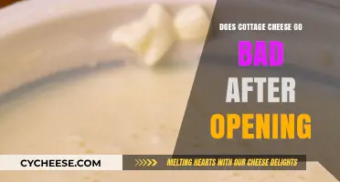 Does Cottage Cheese Go Bad After Opening? Shelf Life Explained