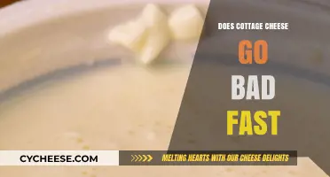 Does Cottage Cheese Spoil Quickly? Shelf Life Explained