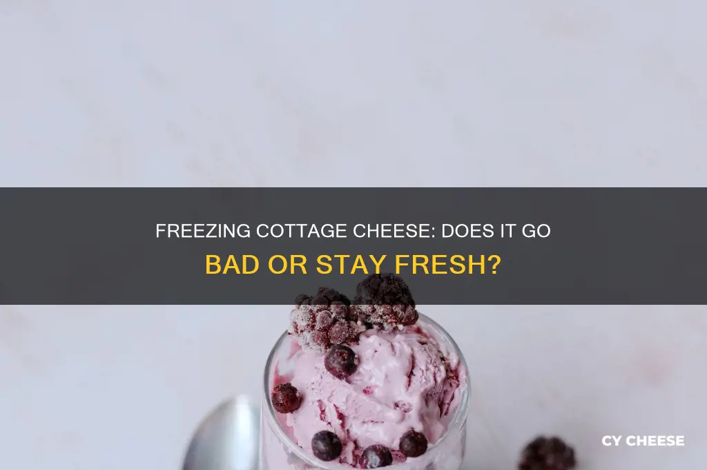 does cottage cheese go bad if frozen