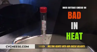 Does Cottage Cheese Spoil in Heat? Storage Tips Revealed