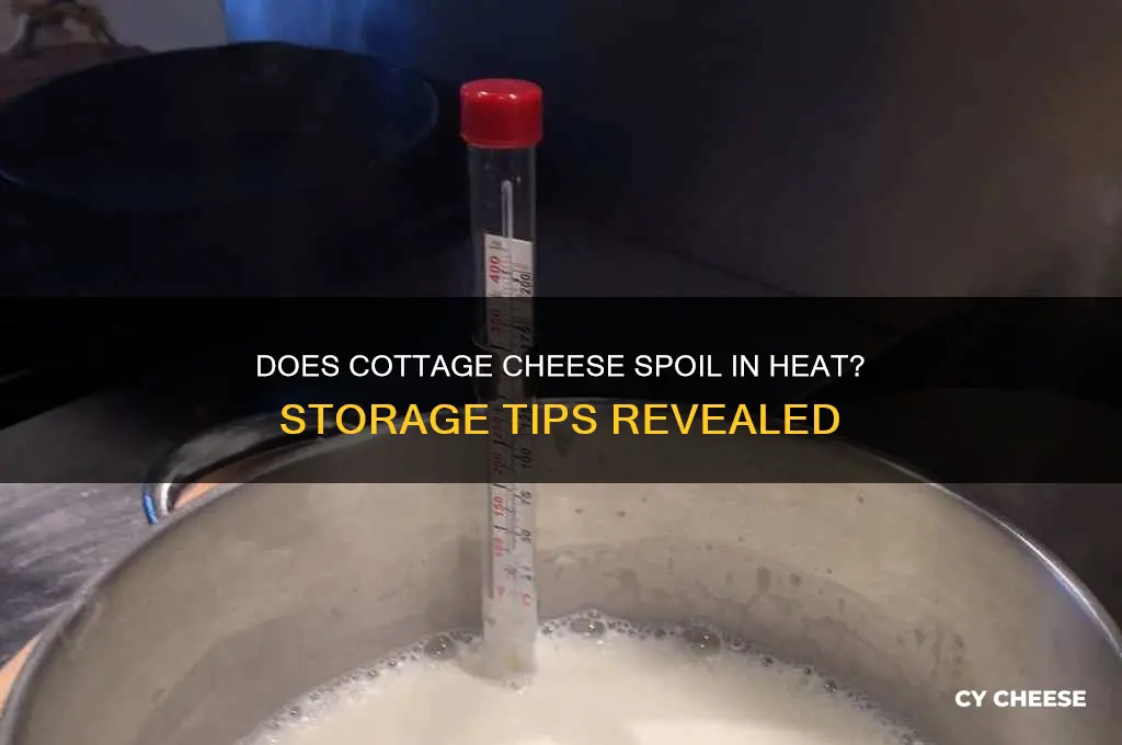 does cottage cheese go bad in heat