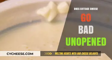 Unopened Cottage Cheese: Shelf Life and Freshness Explained