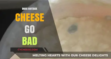 Does Cottage Cheese Go Bad? Shelf Life and Storage Tips