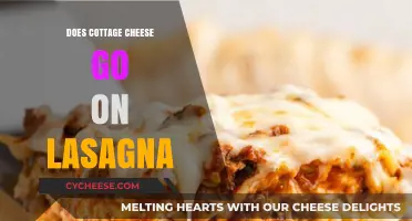 Cottage Cheese on Lasagna: A Delicious Twist or Culinary Misstep?