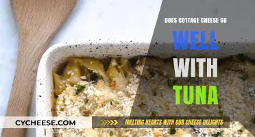 Cottage Cheese and Tuna: A Surprising Culinary Match or Miss?