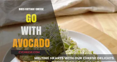 Cottage Cheese and Avocado: A Match Made in Culinary Heaven?