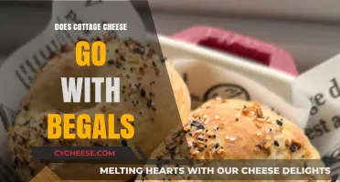 Cottage Cheese and Bagels: A Match Made in Breakfast Heaven?