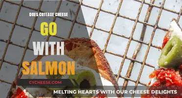 Cottage Cheese and Salmon: A Surprising Culinary Match or Miss?