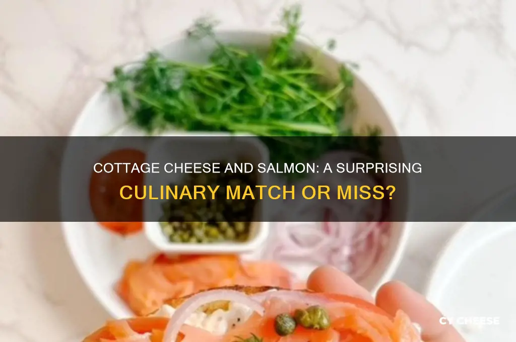 does cottage cheese go with salmon