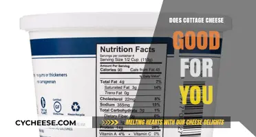 Is Cottage Cheese Healthy? Nutrition Benefits and Facts Revealed