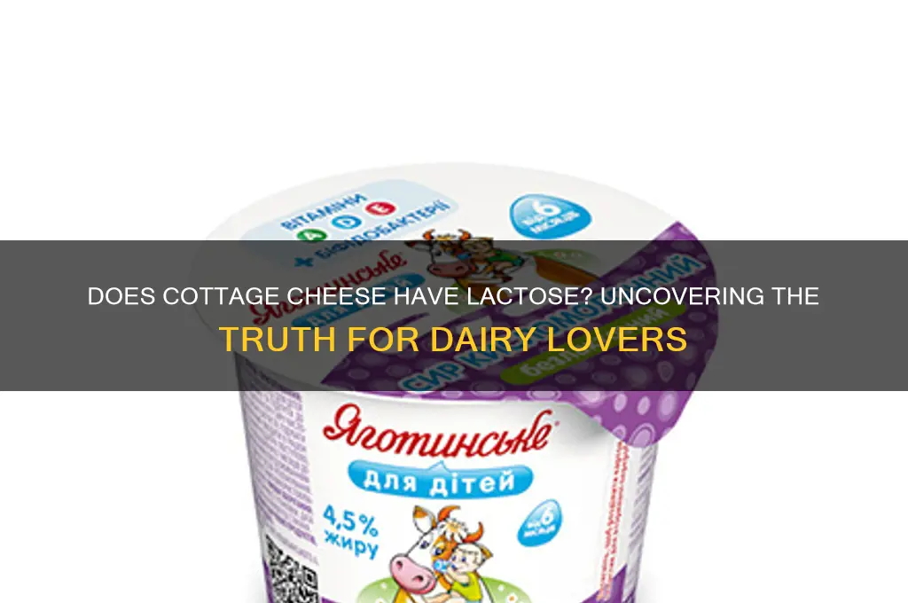 does cottage cheese has lactose