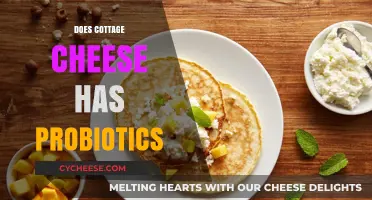 Cottage Cheese and Gut Health: Uncovering Its Probiotic Potential