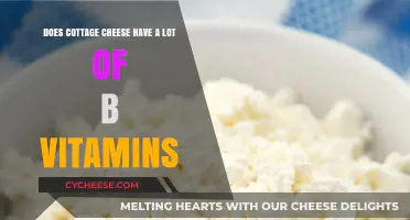 Cottage Cheese and B Vitamins: Nutritional Benefits Explained
