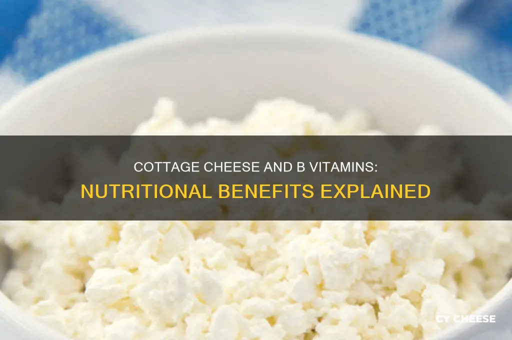 does cottage cheese have a lot of b vitamins