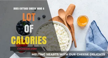 Cottage Cheese Calories: Is It a High-Calorie Food Choice?