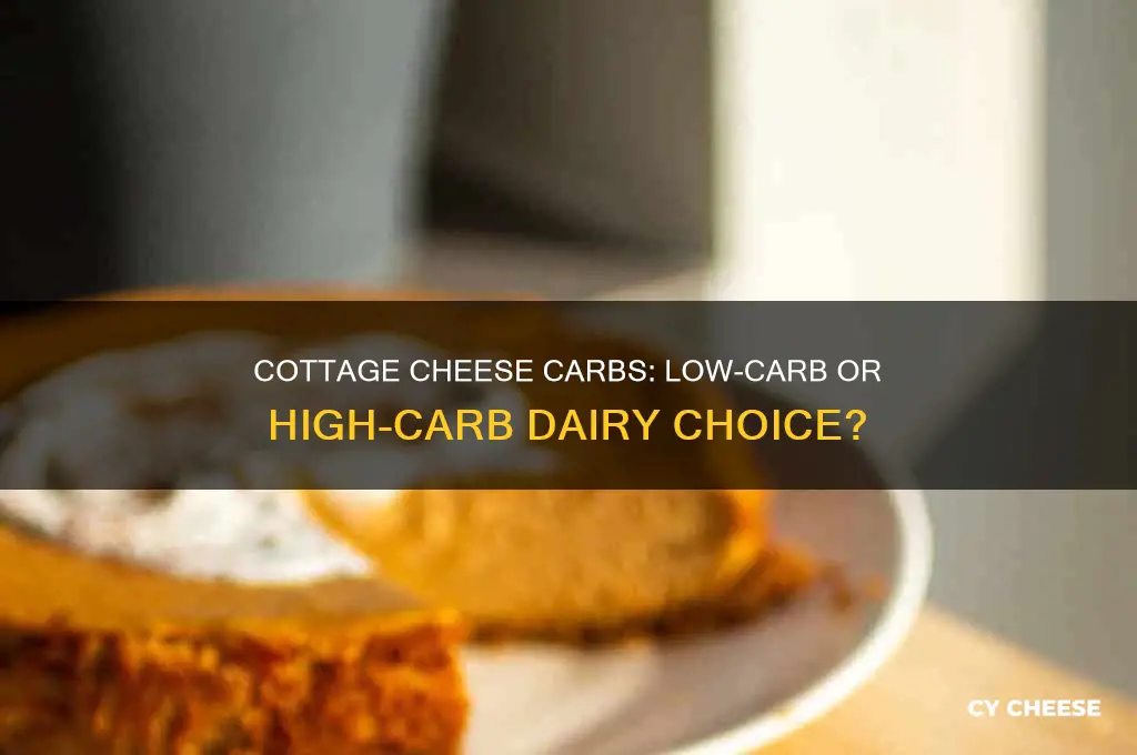 does cottage cheese have a lot of carbs