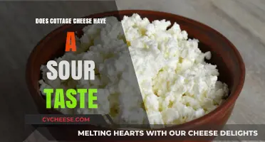 Does Cottage Cheese Taste Sour? Exploring Its Flavor Profile