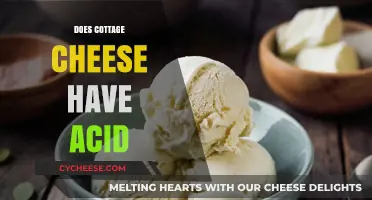 Cottage Cheese and Acid: Unraveling the Truth About Its pH Level