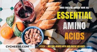 Cottage Cheese Nutrition: Complete Amino Acid Profile Explained
