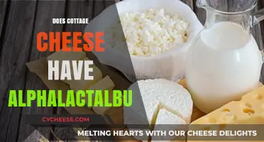 Cottage Cheese and Alphalactalbumin: Uncovering the Nutritional Truth