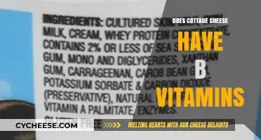 Cottage Cheese and B Vitamins: Nutritional Benefits Explained