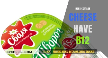 Does Cottage Cheese Have B12? Unlocking Its Nutritional Benefits